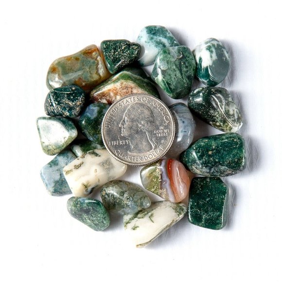 1/4 lb Polished Tree Agate Crystal Gemstones - Picture 2 of 4